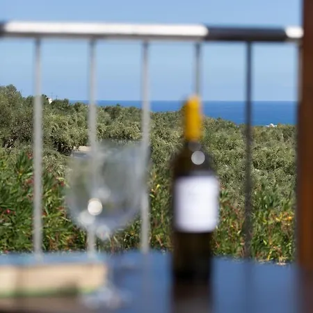 Villa Alexey Tavronitis (Crete)
